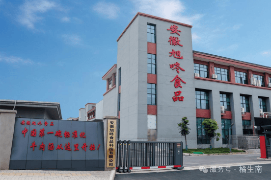 大赛 2025安徽省