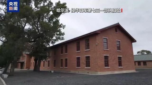 《731》将在全球多